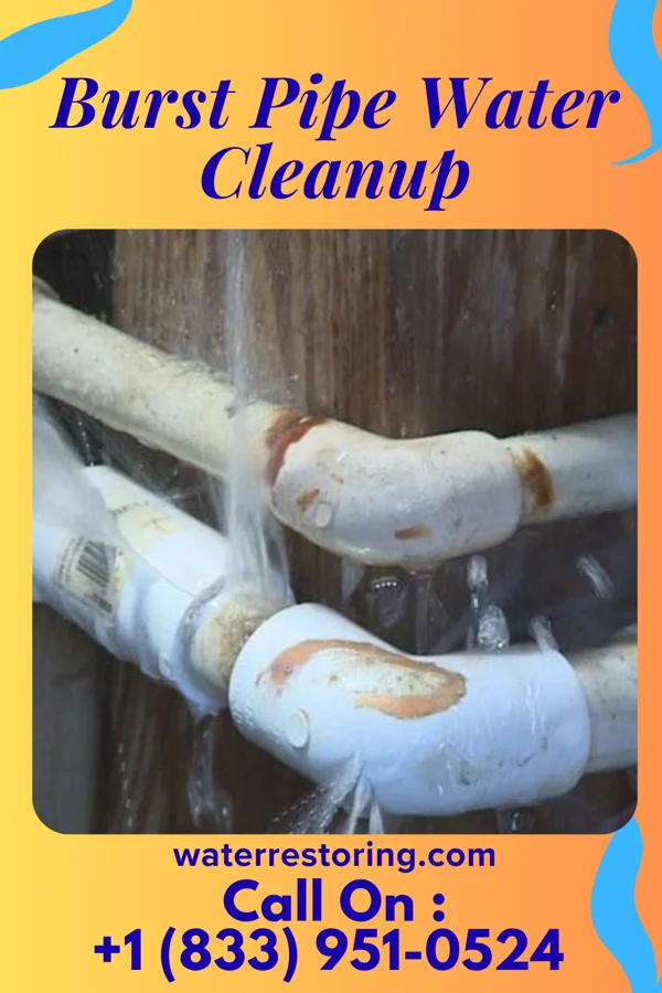Burst Pipe Water Cleanup in Juniata Terrace, PA