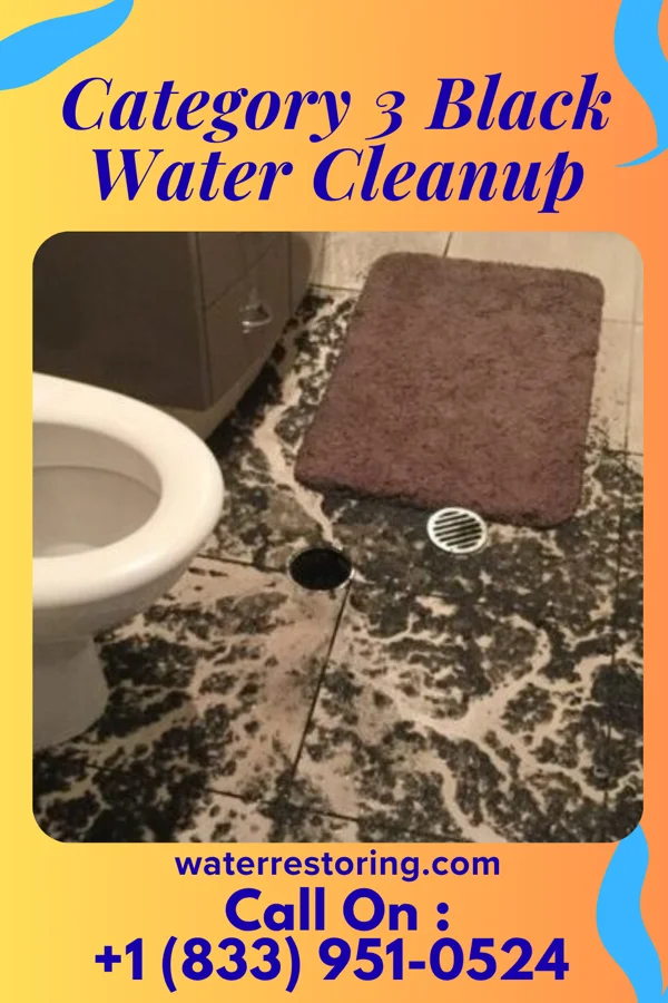 Category 3 Black Water Cleanup in Juniata Terrace, PA