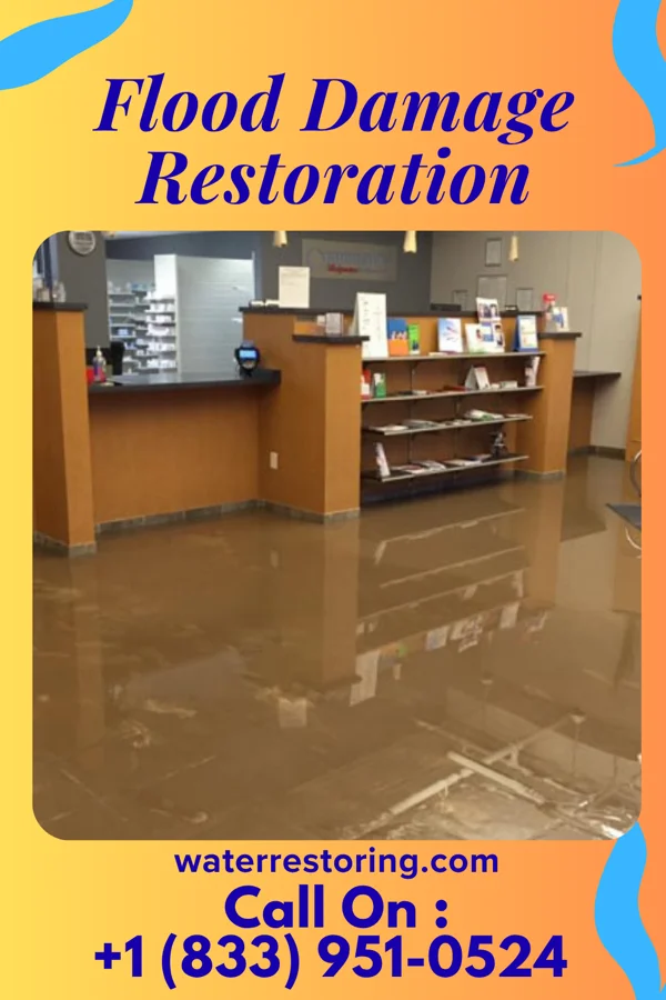 Flood Damage Restoration in Juniata Terrace, PA