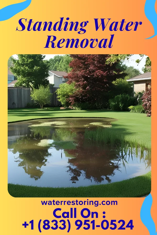 Standing Water Removal in Juniata Terrace, PA